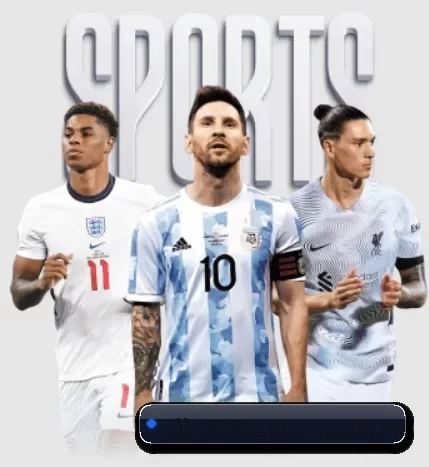 elk-8868sports.com.cn的故事 - 体育资讯内容服务
